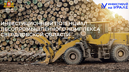 Инвестиционный потенциал лесопромышленного комплекса Свердловской области - ознакомительный фрагмент презентации - 1